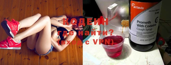 индика Богданович