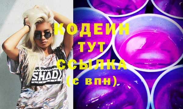 индика Богданович