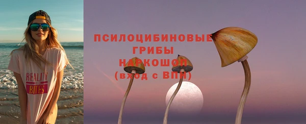 индика Богданович
