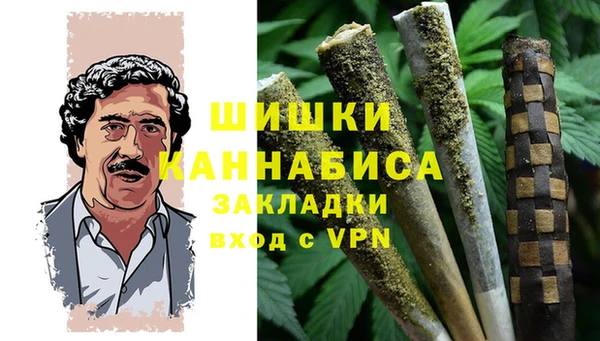 индика Богданович