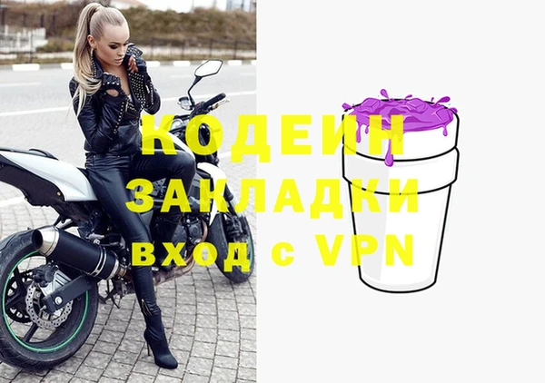 индика Богданович