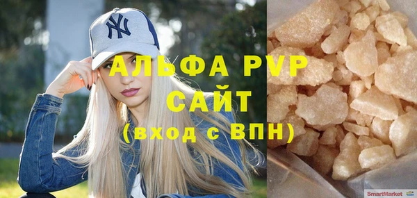 индика Богданович