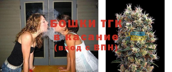 индика Богданович