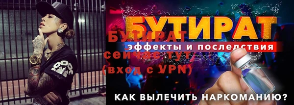 индика Богданович
