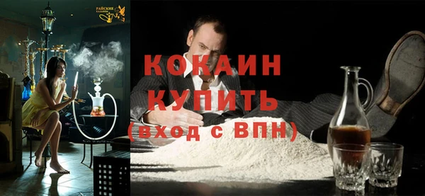 индика Богданович
